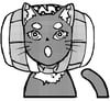 樽猫アイコン 樽猫アイコン