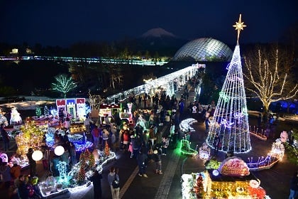 とっとり花回廊