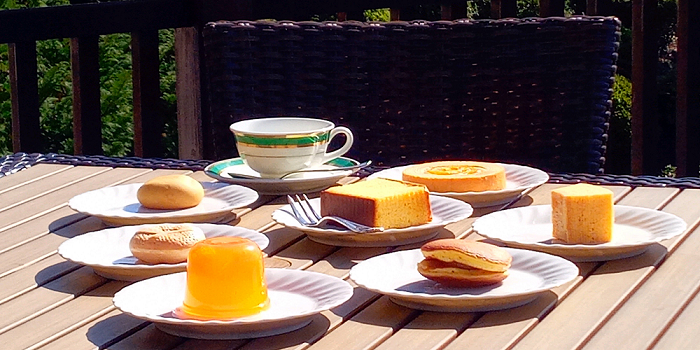 蒲郡スイーツ-1