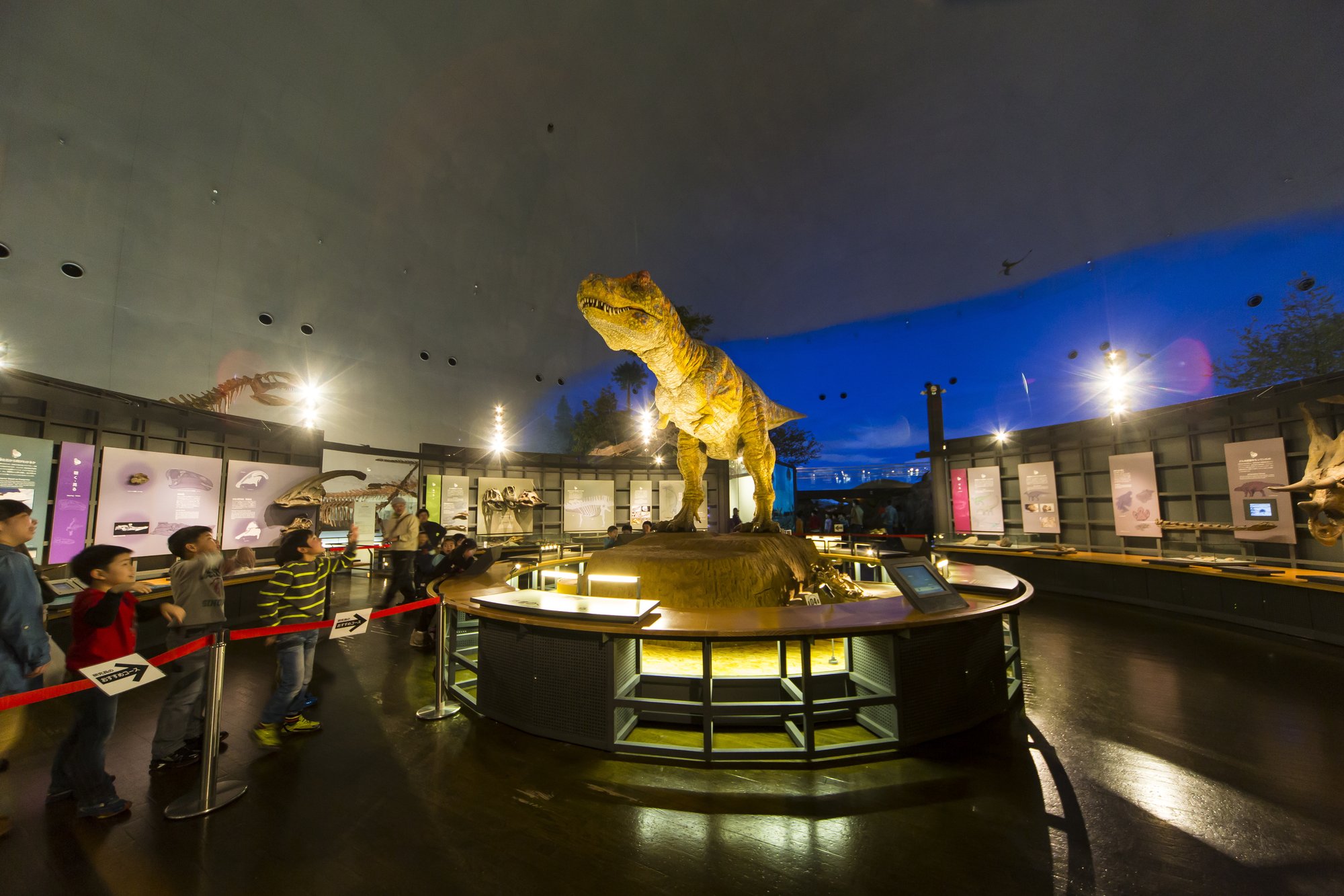 福井県立恐竜博物館(イメージ) 提供元福井県観光連盟