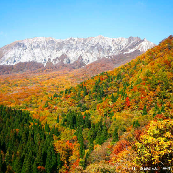 蒜山大山