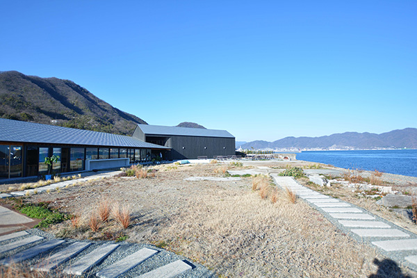 庭園からの風景