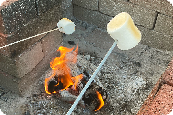 焚火と焼きマシュマロ